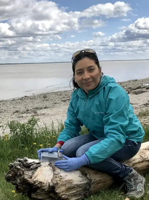 Tzitziki Loeza-Quintana working in the field near Gimli Manitoba, Canada