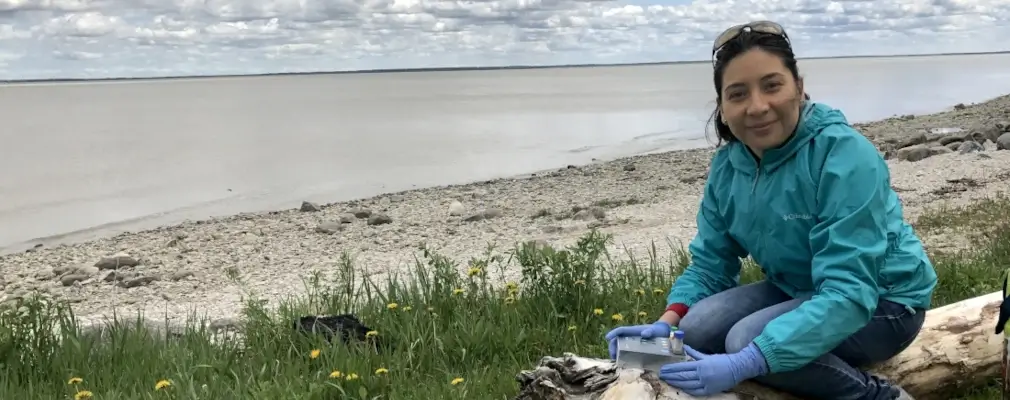 Tzitziki Loeza-Quintana working in the field near Gimli Manitoba, Canada